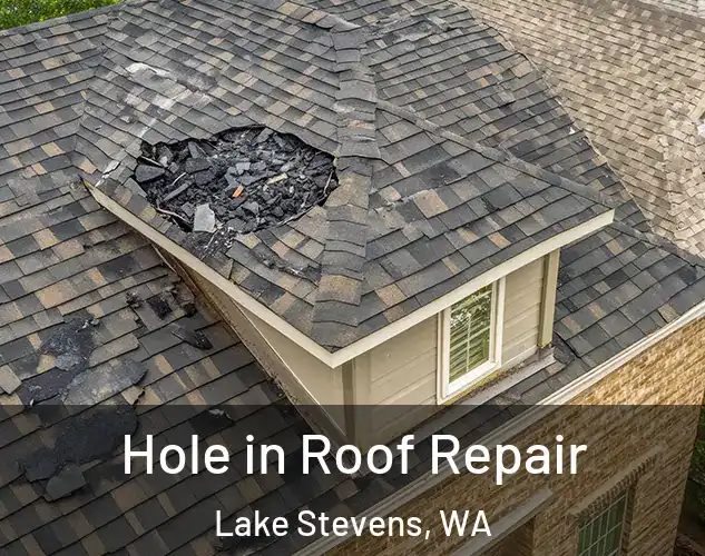  Hole in Roof Repair Lake Stevens, WA