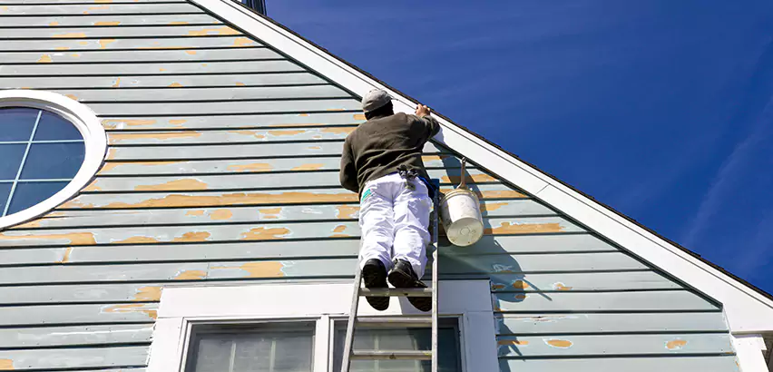 Professional Roof and Siding Repair Services in Lake Stevens, WA