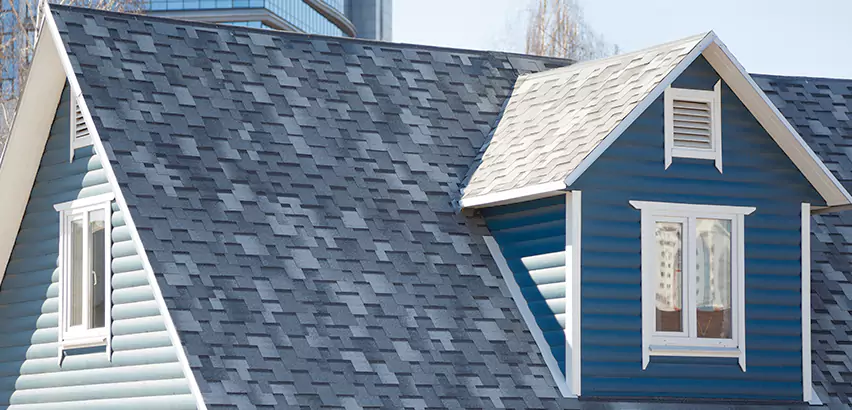 Shingle Roof Maintenance in Lake Stevens