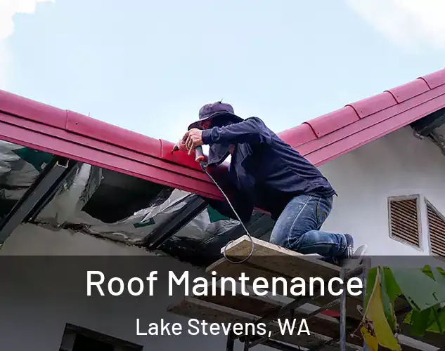  Roof Maintenance Lake Stevens, WA